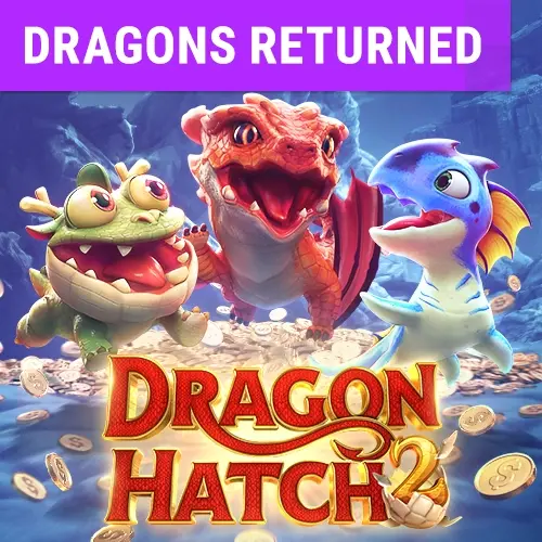 Dragon Hatch2